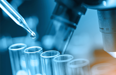 lab